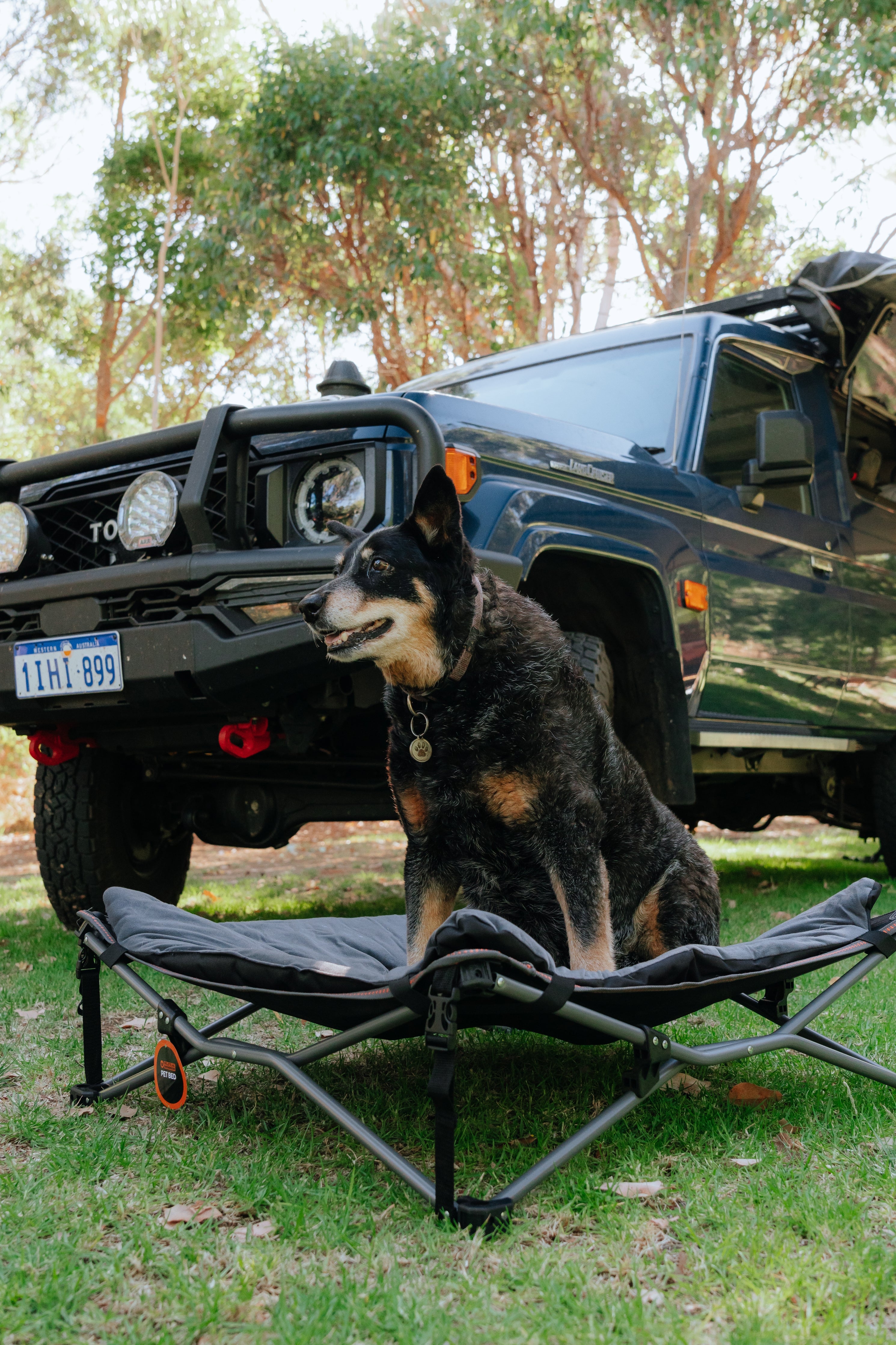 WILDTRAK™ XL Deluxe Pet Bed, Foldable, Removable & Washable Cover, Adjustable Tension Straps, Carry Bag with Shoulder Strap