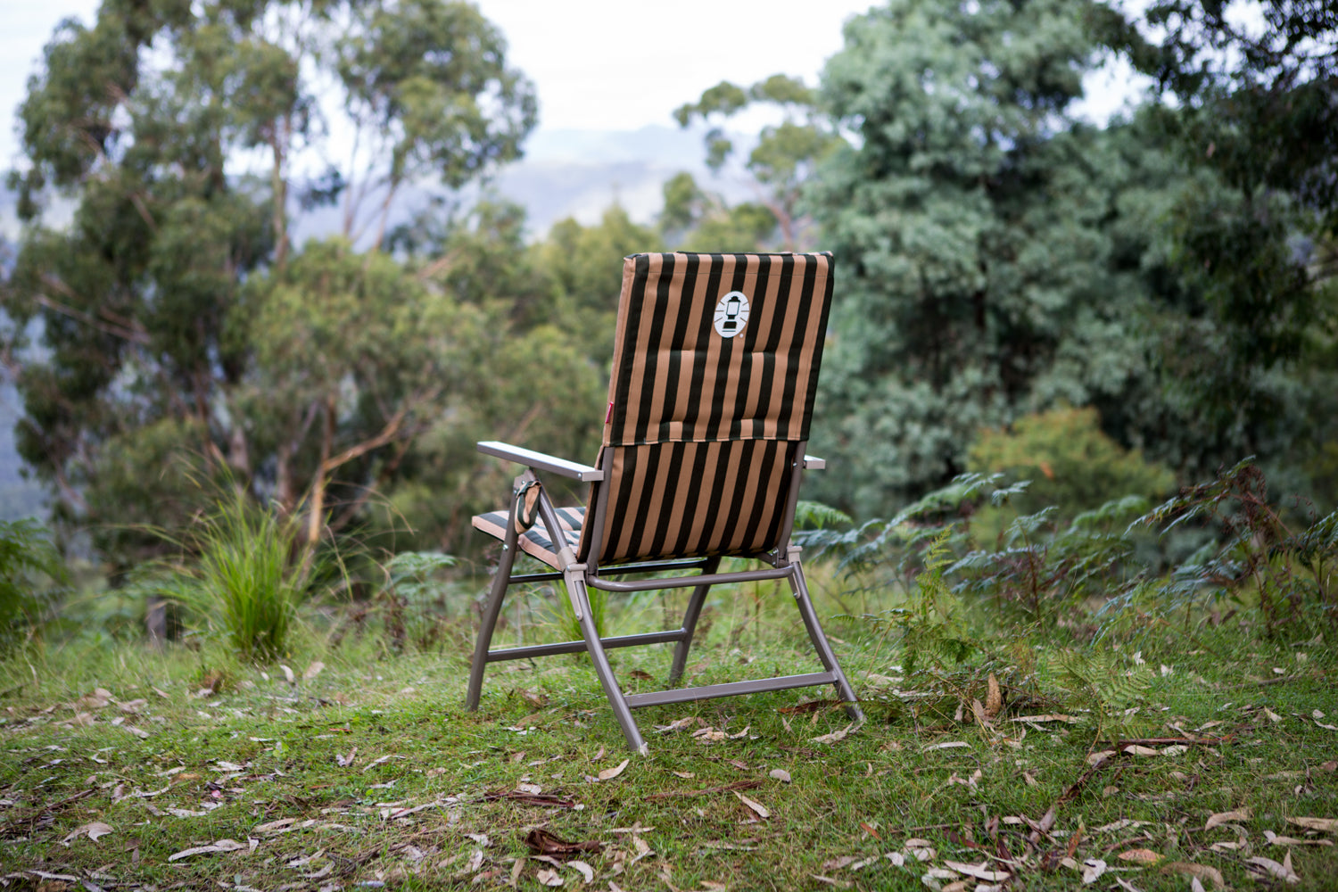 Classic 5 Position Flat Fold Chair