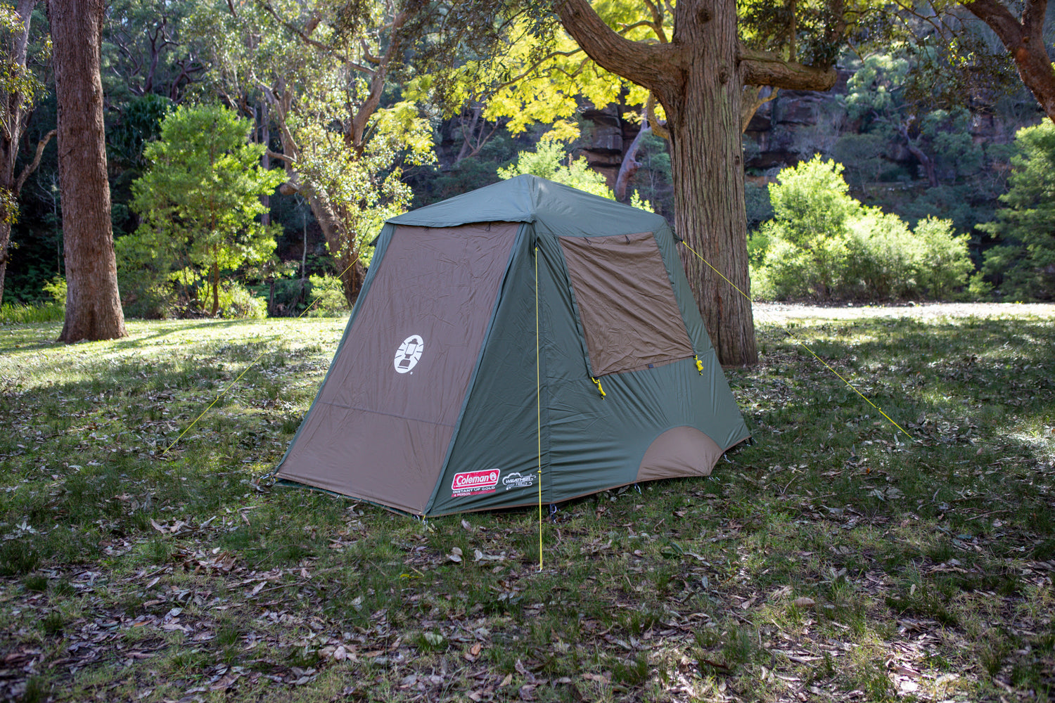 Coleman instant up 4 person tent best sale